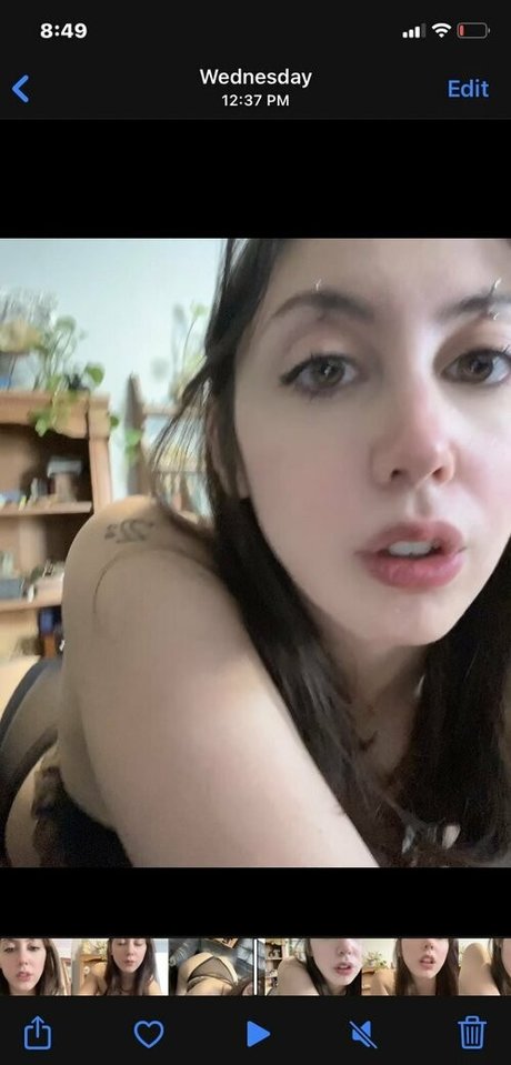 dysphorickitten freie kunst bilder