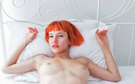 Lotussutra schöne heiße bild