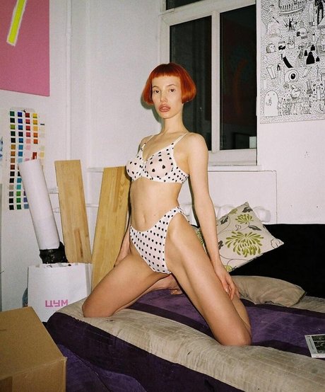 Lotussutra schöne exklusive bilder