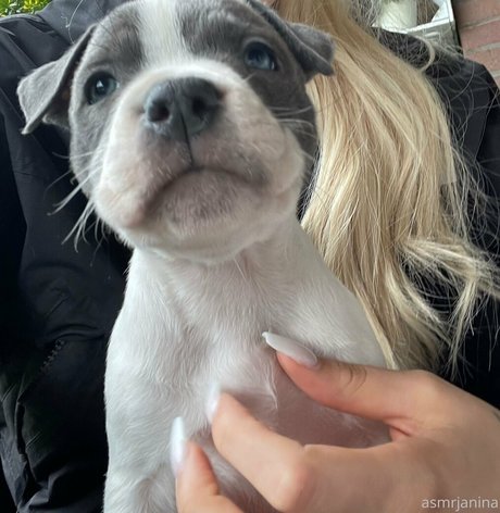 bbw nackt onlyfans perfekte sex galerie