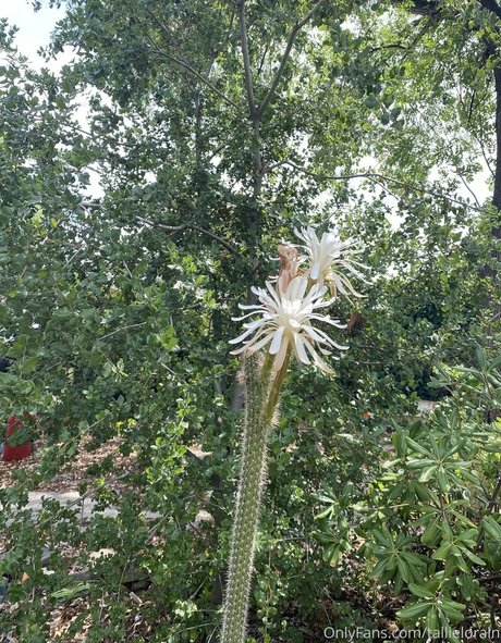 pawg-dusche nur fans nackt erwachsene galerien