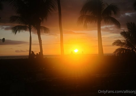 allisonj freie beste bild