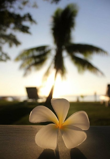 vaniljepus nackt kostenlose archiv