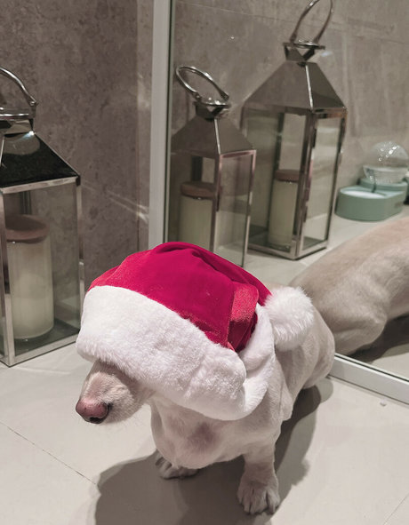 pov-handjob nur fans hübsche freie fotos