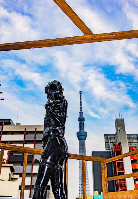 alter mann nur fans perfekte porno bild