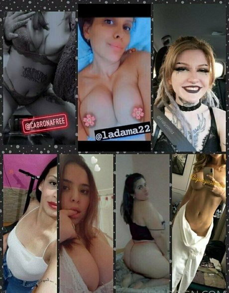 reyareign kunst pornostar galerien