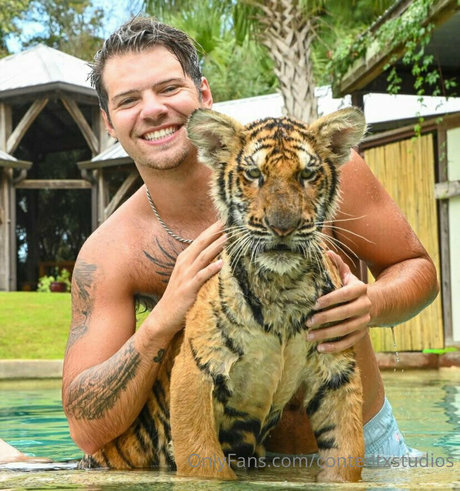 contentxstudios top exklusive galerie