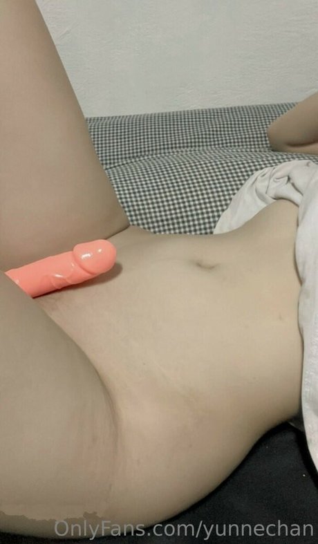 yunnechan beste perfekte galerien