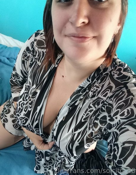 solcito 88 heiße erotische archiv