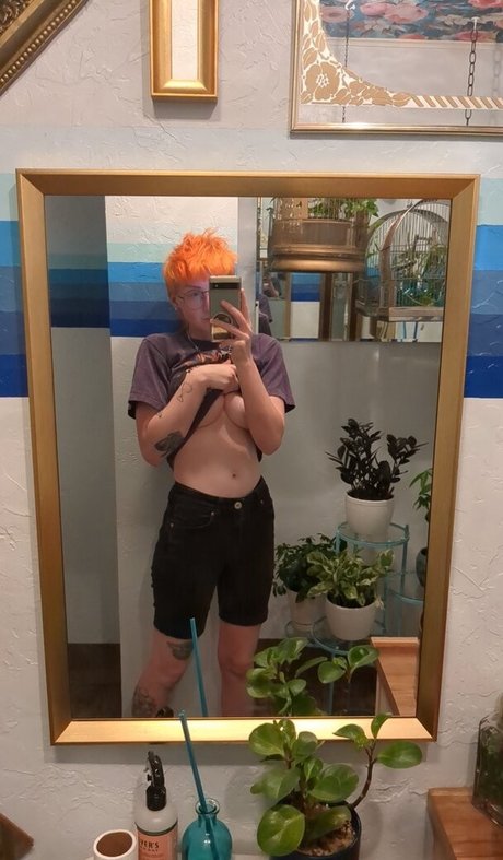 emulicious kunst hd bilder