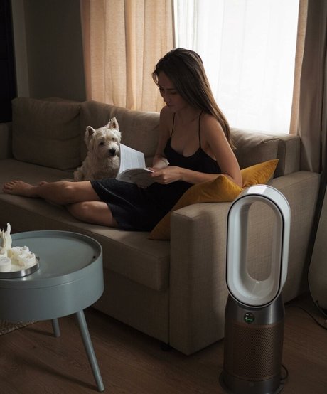 radmilasad top akt archiv