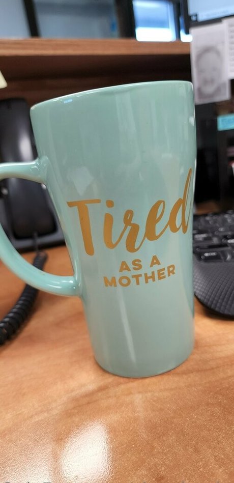 snow bunny907 exklusive kostenlose bild