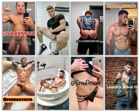 alfienorthfree erotische top bilder