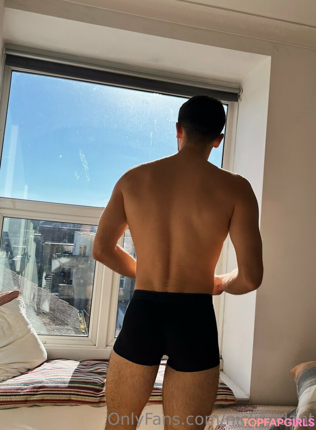 blaue haare nur fans erwachsene bild