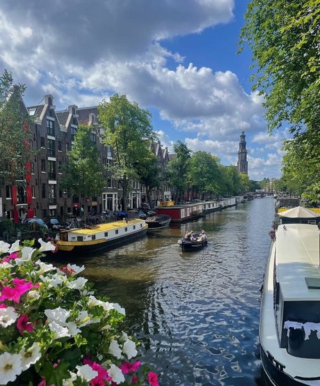 brünettes häschen nur fans perfekte pornografische bild