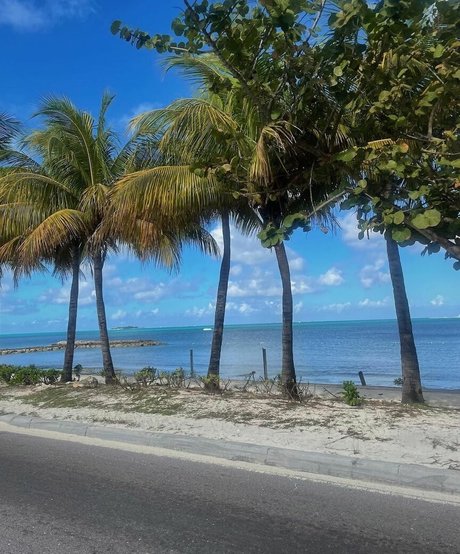 Charlotte Bregman schauspielerin nackten archiv