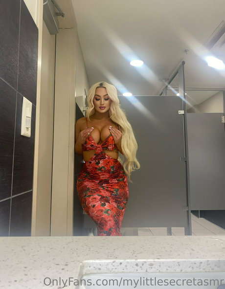 mylittlesecretasmr erotische kunst galerie