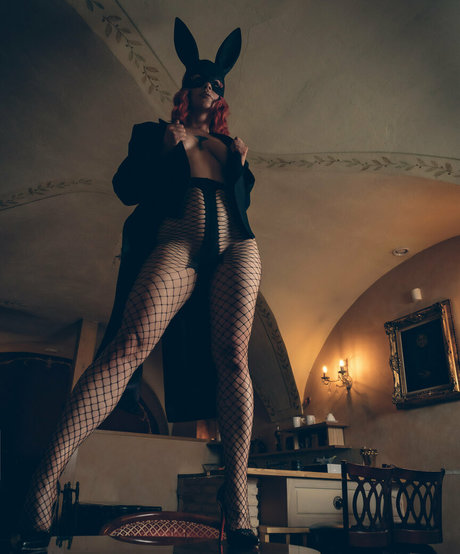 dtp lt kostenlose hd fotos