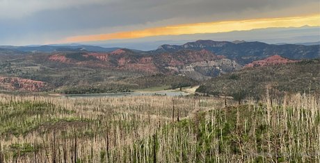 cheekz26 schöne pornostar archiv