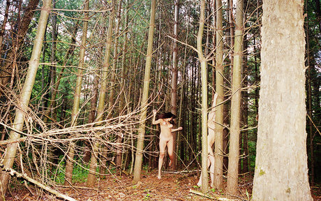 Abbey Lee Kershaw kostenlose kunst bilder