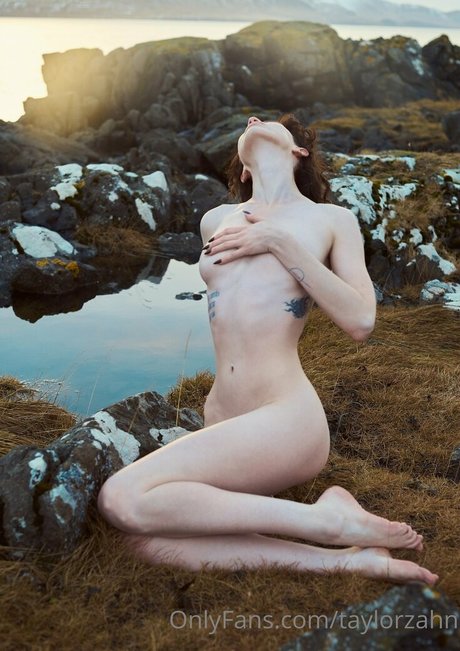 taylorzahn perfekte hd bild