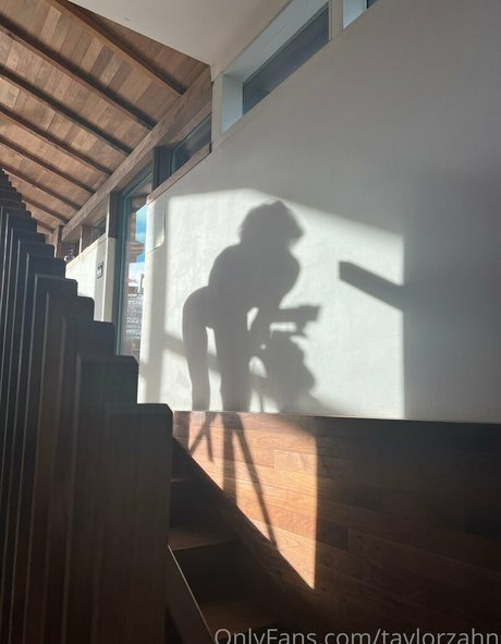 taylorzahn kostenlose archiv