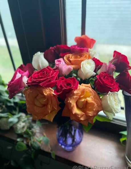 extremer squirt nur fans kunst kostenlose fotos