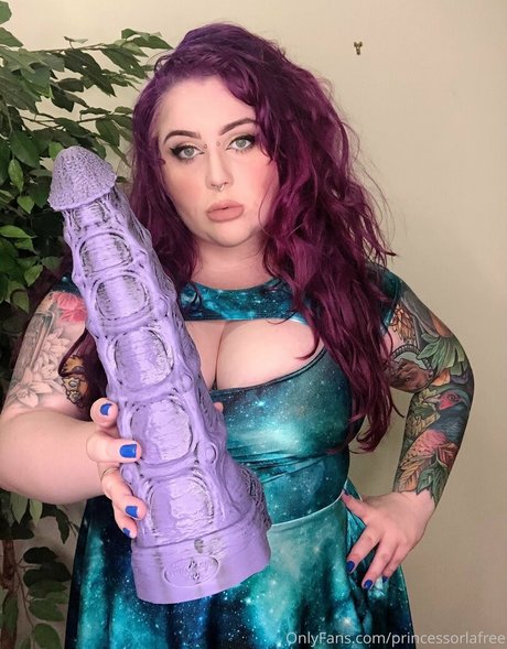 obeyorla freie schöne galerien