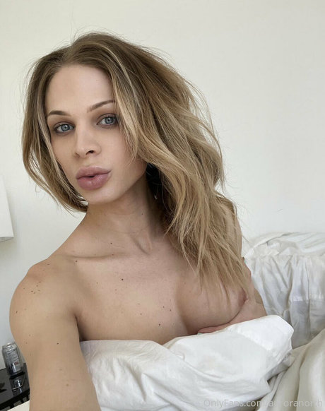 auroranorth kostenlose schöne galerie