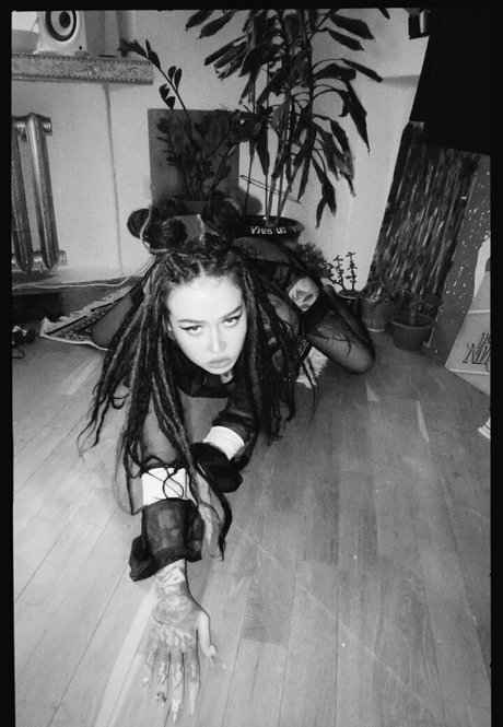 demonek0 kostenlose beste foto