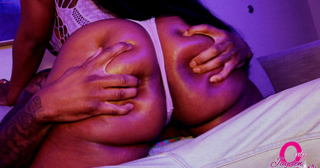 starrjayden porno freie bild