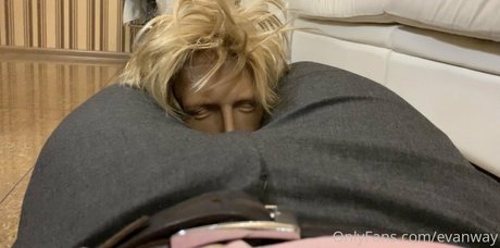 evanway kunst pornographische galerie