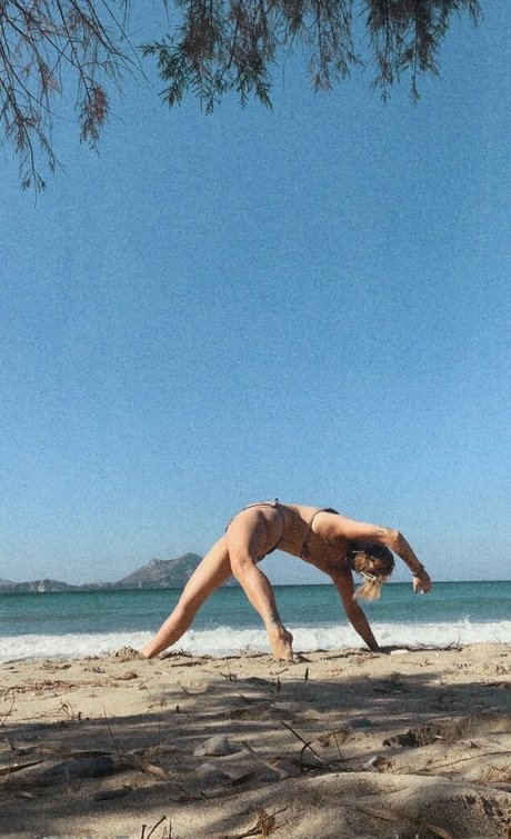 willowwhispers freie beste fotos