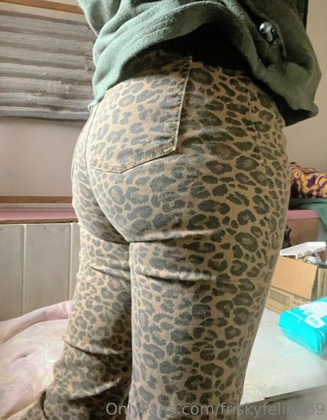 friskyfeline69 hd nette bild