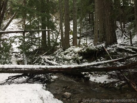 asiatische gilf-onlyfans kostenlose akt bilder