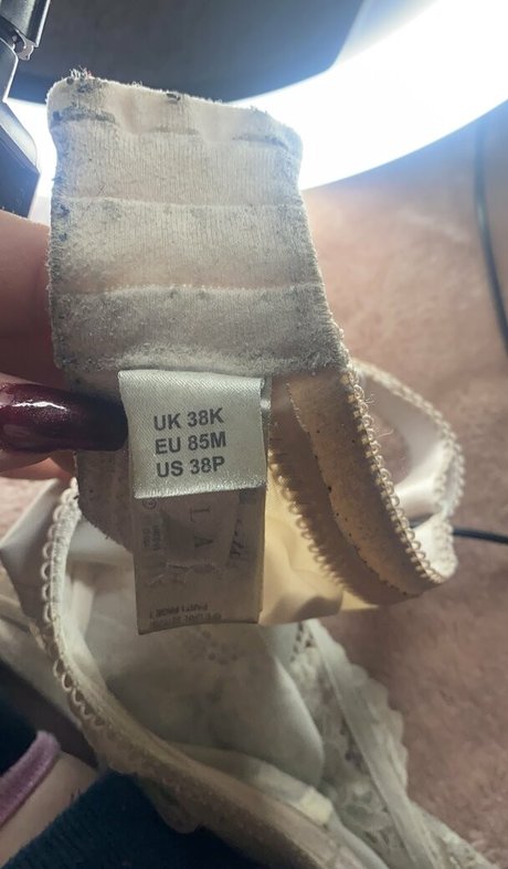 Gigantits beste kostenlose foto