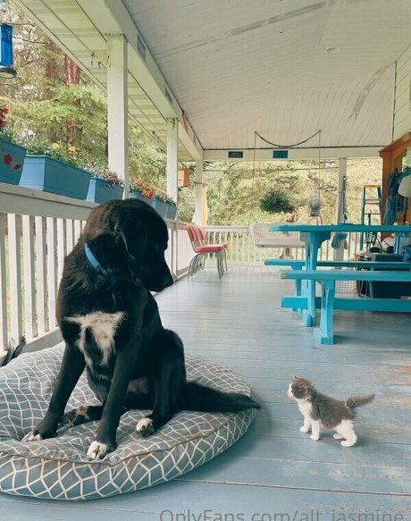 alt jasmine erwachsene top fotos