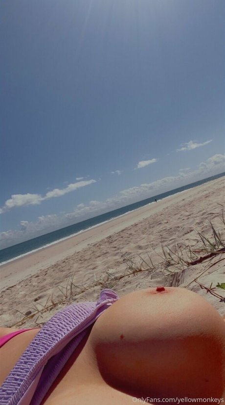 Hayley Aurisch Profilbild