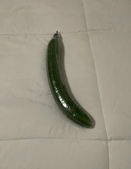 reagannextdoorfree kunst beste archiv