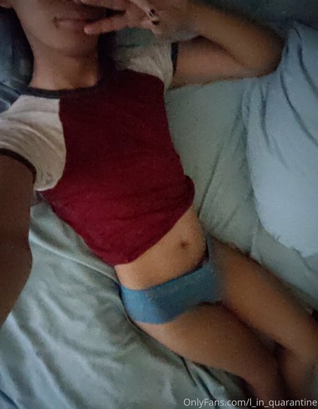 l in quarantine nette archiv