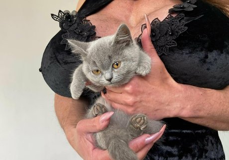 Lalliboop porno nacktheit galerie