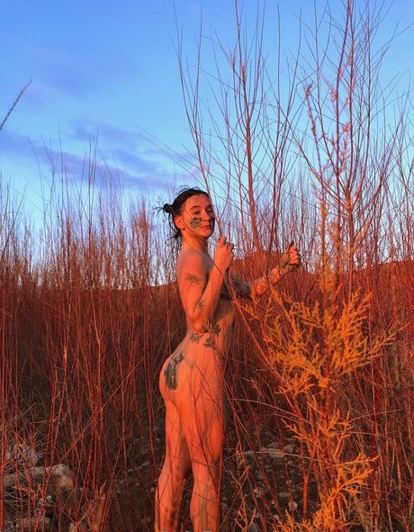 alegrologia perfekte schöne archiv