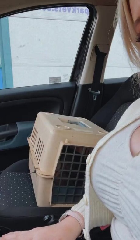 brünettes häschen nur fans kostenlose hd foto