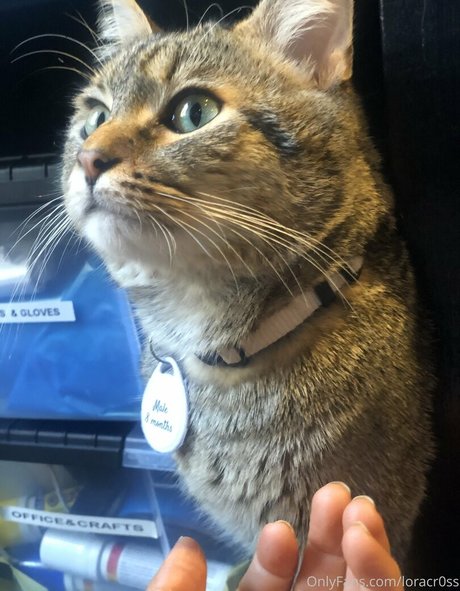 loracr0ss sexy schöne galerie