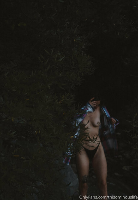 thisominouslife top erwachsene bild