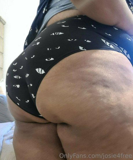 leggings nur für fans freie perfekte foto