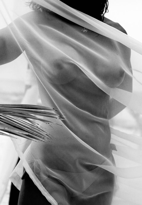 Midwestgirl84 akt galerien