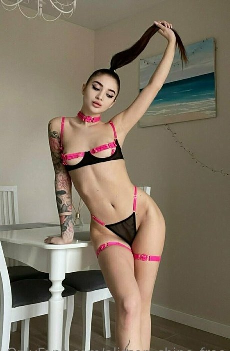 alisson shine free beste kostenlose bild