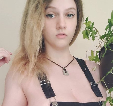 Annonalfa nette bilder