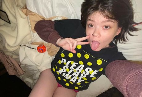 Lilac Lullaby beste freie foto